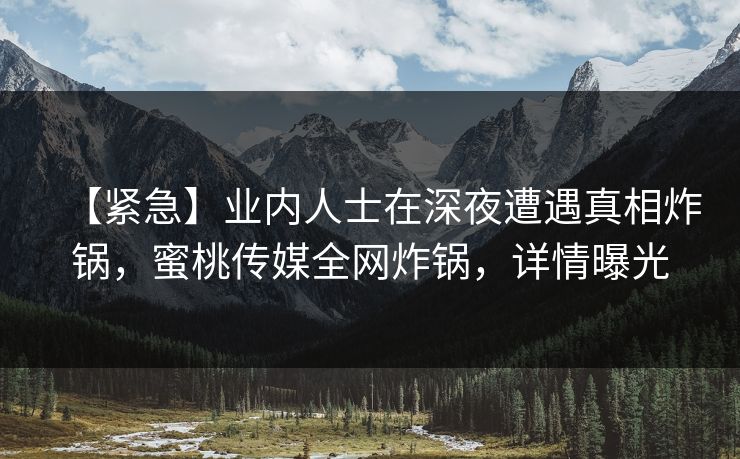 【紧急】业内人士在深夜遭遇真相炸锅，蜜桃传媒全网炸锅，详情曝光