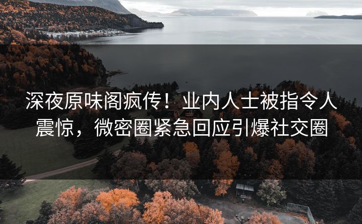 深夜原味阁疯传！业内人士被指令人震惊，微密圈紧急回应引爆社交圈