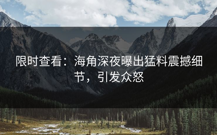 限时查看：海角深夜曝出猛料震撼细节，引发众怒