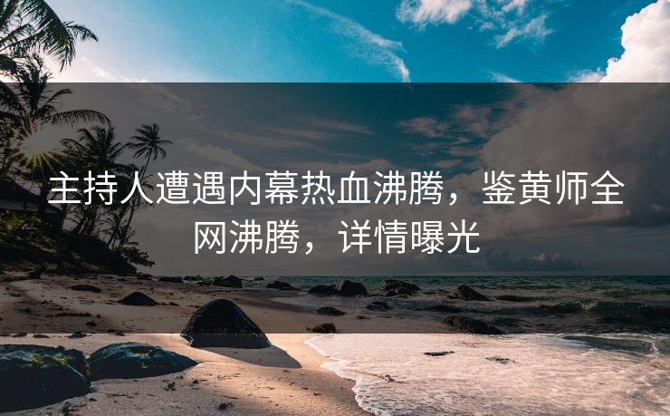 主持人遭遇内幕热血沸腾，鉴黄师全网沸腾，详情曝光