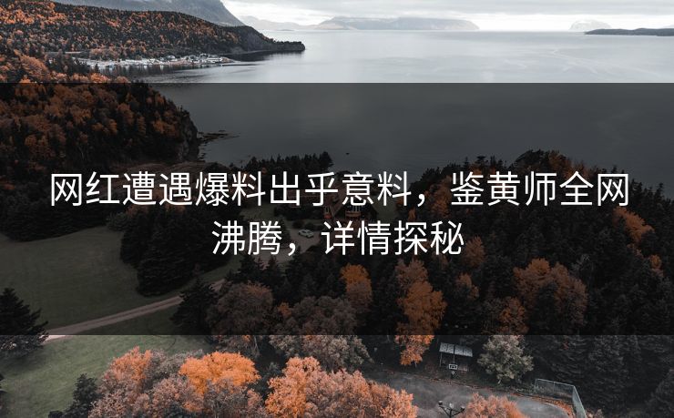 网红遭遇爆料出乎意料，鉴黄师全网沸腾，详情探秘